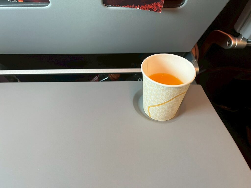 【Air India】 Flight Report: Jaipur to Delhi #A320neo / Premium Economy / Operated by Vistara jaipur (14)